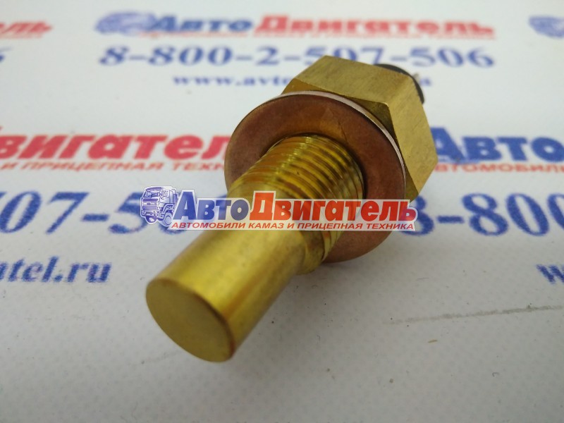 Датчик температуры охлаждающей жидкости 3979176 КАМАЗ Cummins ISBe, 6CT, L