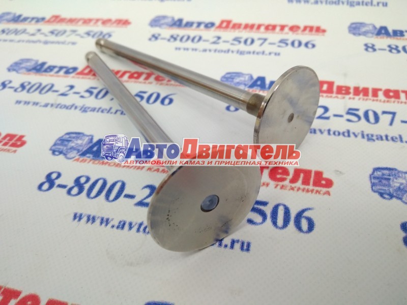 Клапан впускной 5261320 5308264 Газель-Бизнес Cummins ISF2,8