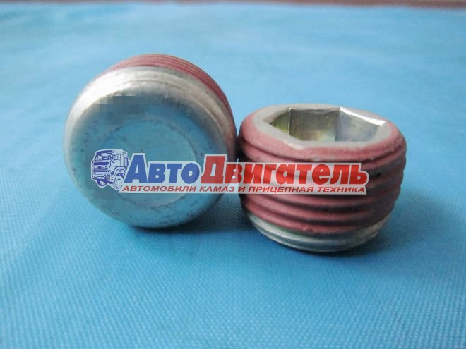 Пробка блока цилиндров трубная 3/4 npt 3008469 Cummins 6ISBe