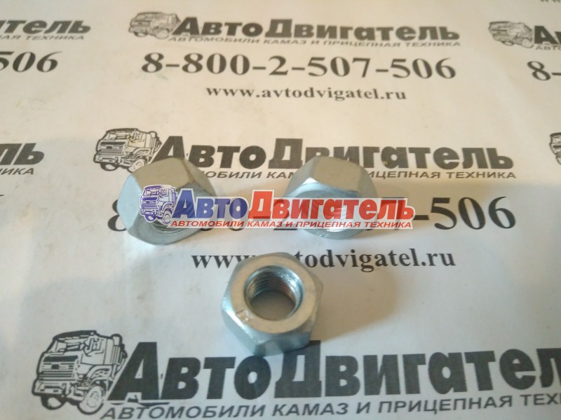 Гайка м10х1,25 переднего амортизатора 1/21647/11, 00001-0021647-118 КАМАЗ, ваз белзан, г.белебей