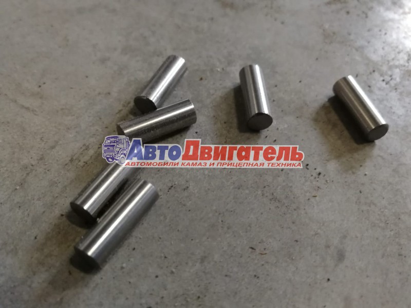 Ролик 5,5х15,8 Д 14-1701285 КАМАЗ СПЗ/ШЗПИ СПЗ-4